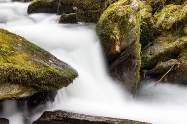 Sonbaharda Exmoor Ulusal Parkı 'ndaki Watersmmet' te Hoar Oak Nehri 'nde bir şelaleye uzun süre maruz kalmak