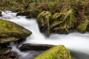 Sonbaharda Exmoor Ulusal Parkı 'ndaki Watersmmet' te Hoar Oak Nehri 'nde bir şelaleye uzun süre maruz kalmak