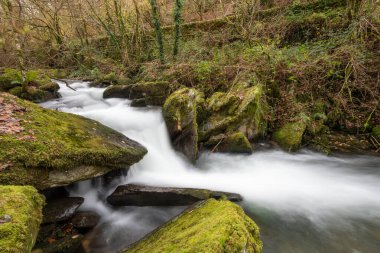 Sonbaharda Exmoor Ulusal Parkı 'ndaki Watersmmet' te Hoar Oak Nehri 'nde bir şelaleye uzun süre maruz kalmak