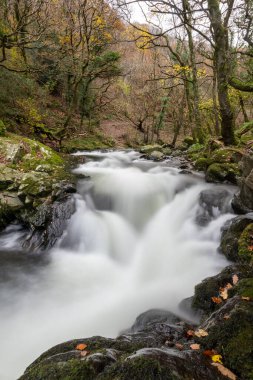 Doğu Lyn nehri üzerinde Exmoor Ulusal Parkı 'ndaki Watersmeet' te uzun süre bir şelale görüldü.