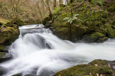 Doğu Lyn nehri üzerinde Exmoor Ulusal Parkı 'ndaki Watersmeet' te uzun süre bir şelale görüldü.