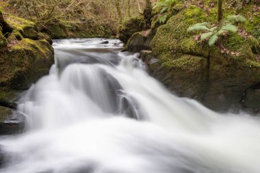 Doğu Lyn nehri üzerinde Exmoor Ulusal Parkı 'ndaki Watersmeet' te uzun süre bir şelale görüldü.