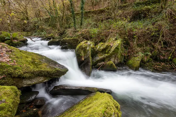 Sonbaharda Exmoor Ulusal Parkı 'ndaki Watersmmet' te Hoar Oak Nehri 'nde bir şelaleye uzun süre maruz kalmak