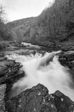 Watersmeet Köprüsü Şelalesi 'nin doğu Lyn Nehri üzerindeki Exmoor Ulusal Parkı' ndaki Watersmeet Nehri 'nde uzun süre görüldü.