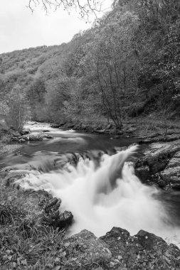 Watersmeet Köprüsü Şelalesi 'nin doğu Lyn Nehri üzerindeki Exmoor Ulusal Parkı' ndaki Watersmeet Nehri 'nde uzun süre görüldü.
