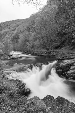 Watersmeet Köprüsü Şelalesi 'nin doğu Lyn Nehri üzerindeki Exmoor Ulusal Parkı' ndaki Watersmeet Nehri 'nde uzun süre görüldü.