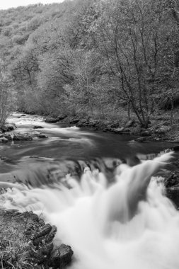 Watersmeet Köprüsü Şelalesi 'nin doğu Lyn Nehri üzerindeki Exmoor Ulusal Parkı' ndaki Watersmeet Nehri 'nde uzun süre görüldü.