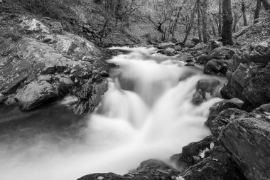 Doğu Lyn nehri üzerinde Exmoor Ulusal Parkı 'ndaki Watersmeet' te uzun süre bir şelale görüldü.