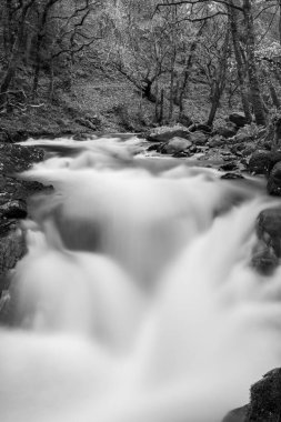 Doğu Lyn nehri üzerinde Exmoor Ulusal Parkı 'ndaki Watersmeet' te uzun süre bir şelale görüldü.