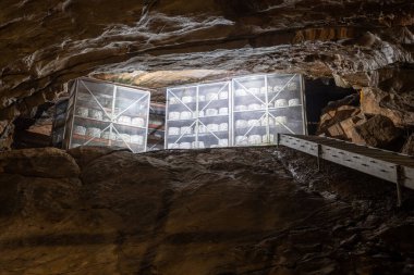 Cheddar cheese maturing in Goughs Cave in Cheddar in Somerset