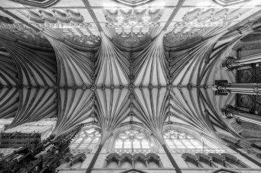 Exeter.Devon. Birleşik Krallık. 19 Şubat 2020. Devon 'daki Exeter katedralinin tavan görüntüsü.