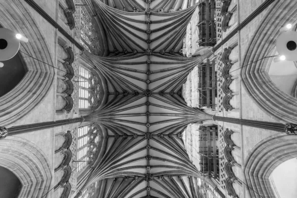 Exeter Devon United Kingdom February 19Th 2020 View Vaulted Ceiling — Stock Photo, Image