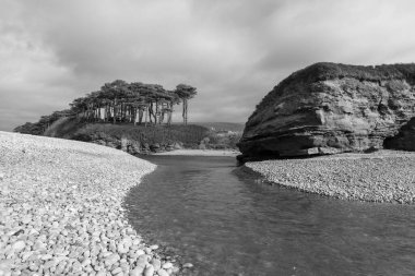 Devon 'da Budleigh Salterton' daki nehir samurunun ağzı.