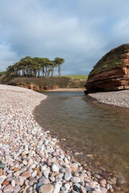 Devon 'da Budleigh Salterton' daki nehir samurunun ağzı.