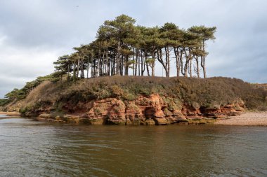 Devon 'da Budleigh Salterton' daki nehir samurunun ağzı.