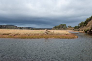 Devon 'daki Budleigh Salterton' daki Susamuru nehri.