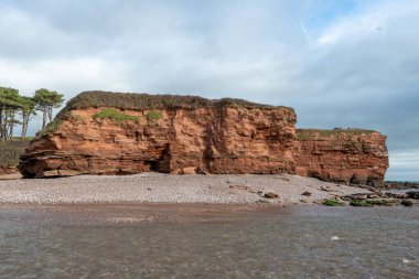 Devon 'da Budleigh Salterton' daki Susamuru 'nun ağzı.