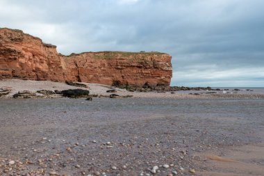 Devon 'da Budleigh Salterton' daki Susamuru 'nun ağzı.