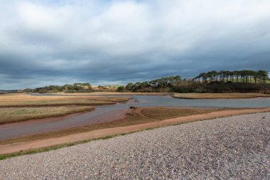 Devon 'daki Budleigh Salterton' daki Susamuru nehri.