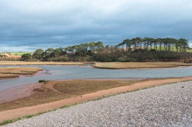 Devon 'daki Budleigh Salterton' daki Susamuru nehri.