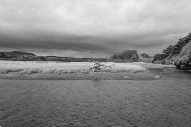 Devon 'daki Budleigh Salterton' daki Susamuru nehri.