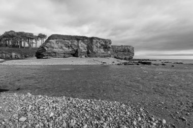 Devon 'da Budleigh Salterton' daki Susamuru 'nun ağzı.