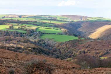 Exmoor Ulusal Parkı 'ndaki Horner Ormanı' ndaki sonbahar renklerinin manzara fotoğrafı.