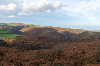 Exmoor Ulusal Parkı 'ndaki Horner Ormanı' ndaki sonbahar renklerinin manzara fotoğrafı.