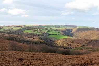 Exmoor Ulusal Parkı 'ndaki Horner Ormanı' ndaki sonbahar renklerinin manzara fotoğrafı.