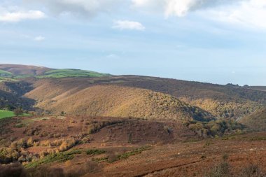 Exmoor Ulusal Parkı 'ndaki Horner Ormanı' ndaki sonbahar renklerinin manzara fotoğrafı.