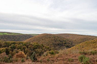 Exmoor Ulusal Parkı 'ndaki Horner Ormanı' ndaki sonbahar renklerinin manzara fotoğrafı.