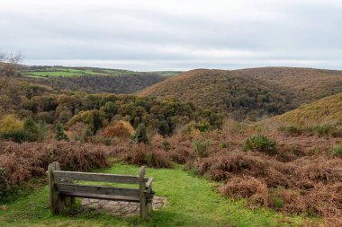 Exmoor Ulusal Parkı 'ndaki Horner Ormanı' ndaki sonbahar renklerinin Webbers Post 'tan görüntüsü