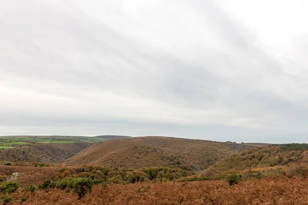 Пейзаж Осенних Цветов Лесу Хорнер Национальном Парке Эксмур — стоковое фото