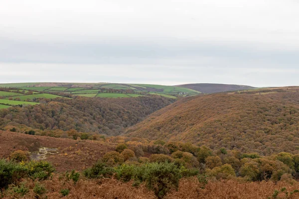 Fotografie Krajiny Podzimních Barev Lesích Horner Národním Parku Exmoor — Stock fotografie