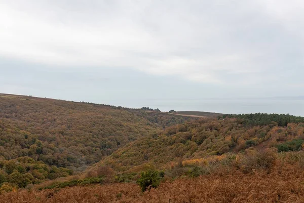 Landskapsfoto Höstfärgerna Hornerskogen Exmoor Nationalpark — Stockfoto
