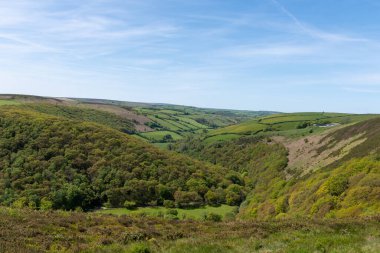 Exmoor Ulusal Parkı 'ndaki Doone Vadisi' nin manzara fotoğrafı.