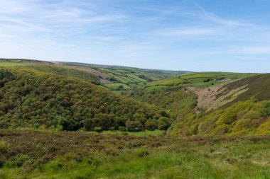 Exmoor Ulusal Parkı 'ndaki Doone Vadisi' nin manzara fotoğrafı.