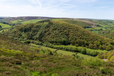 Exmoor Ulusal Parkı 'ndaki Doone Vadisi' nin manzara fotoğrafı.