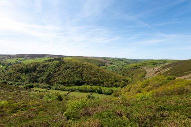Exmoor Ulusal Parkı 'ndaki Doone Vadisi' nin manzara fotoğrafı.