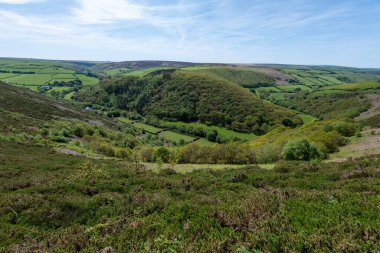 Exmoor Ulusal Parkı 'ndaki Doone Vadisi' nin manzara fotoğrafı.