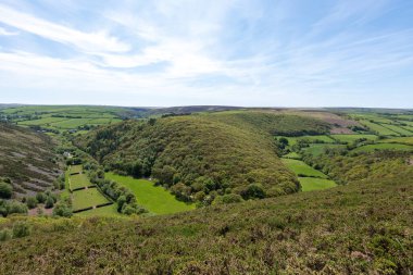 Exmoor Ulusal Parkı 'ndaki Doone Vadisi' nin manzara fotoğrafı.