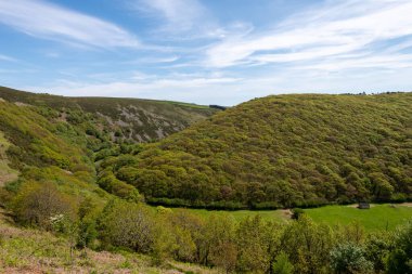Exmoor Ulusal Parkı 'ndaki Doone Vadisi' nin manzara fotoğrafı.
