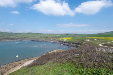 Dorset 'teki Kimmeridge Körfezi' nin manzara fotoğrafı.