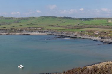 Dorset 'teki Kimmeridge Körfezi' nin manzara fotoğrafı.