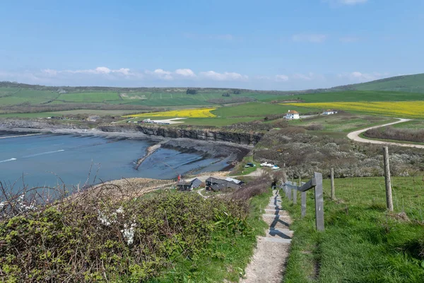 Dorset 'teki Kimmeridge Körfezi' nin manzara fotoğrafı.