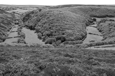 Exmoor Ulusal Parkı 'ndaki Doone Vadisi' nin siyah beyaz fotoğrafı.