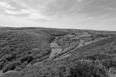 Exmoor Ulusal Parkı 'ndaki Doone Vadisi' nin siyah beyaz fotoğrafı.