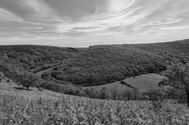 Exmoor Ulusal Parkı 'ndaki Doone Vadisi' nin siyah beyaz fotoğrafı.