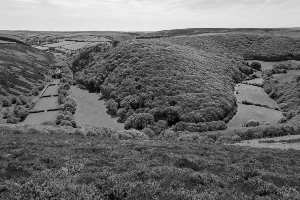 Černobílá Fotografie Údolí Doone Národním Parku Exmoor — Stock fotografie