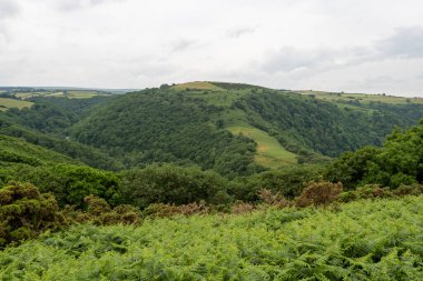 Exmoor Ulusal Parkı 'ndaki Watersmeet Vadisi Countisbury Tepesi' nin tepesinden görüntü
